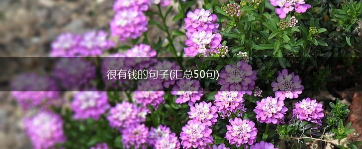 很有钱的句子(汇总50句),第1张