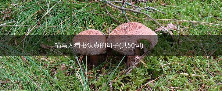 描写人看书认真的句子(共50句),第1张