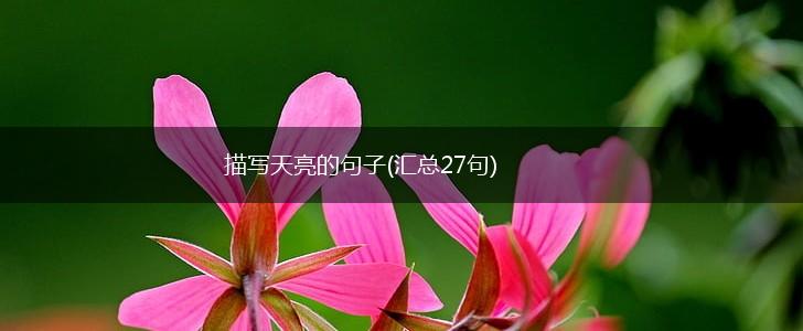 描写天亮的句子(汇总27句),第1张