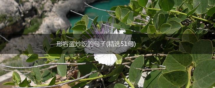 形容蛋炒饭的句子(精选51句),第1张
