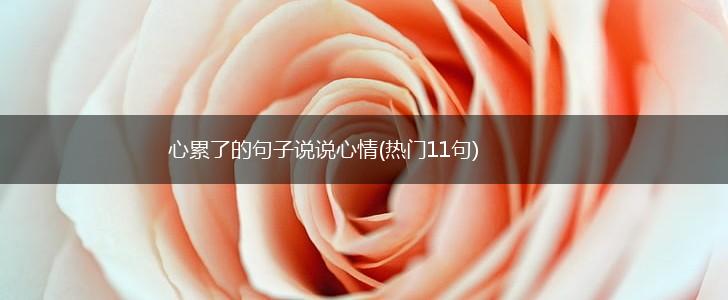 心累了的句子说说心情(热门11句),第1张