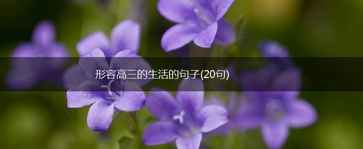 形容高三的生活的句子(20句),第1张