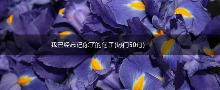 我已经忘记你了的句子(热门50句),第1张