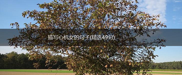 描写心机女的句子(精选49句),第1张