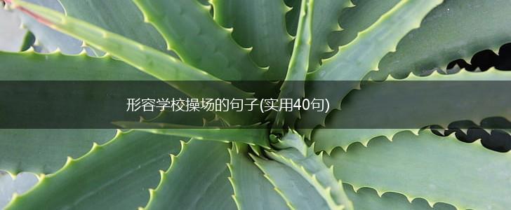 形容学校操场的句子(实用40句),第1张