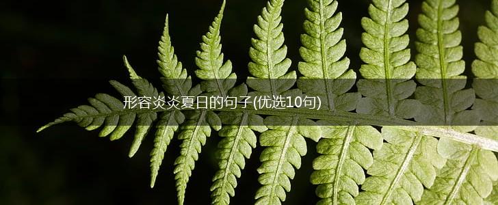 形容炎炎夏日的句子(优选10句),第1张