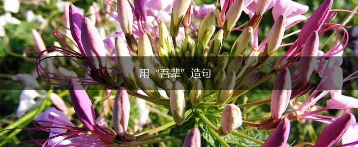 用“吾辈”造句,第1张 用“吾辈”造句,第1张