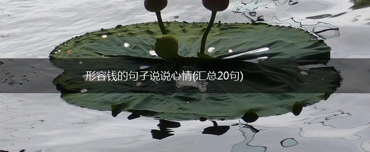 形容钱的句子说说心情(汇总20句),第1张