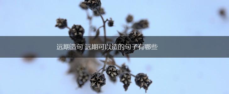 远期造句 远期可以造的句子有哪些,第1张 远期造句 远期可以造的句子有哪些,第1张