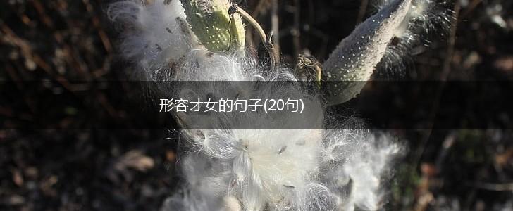 形容才女的句子(20句),第1张
