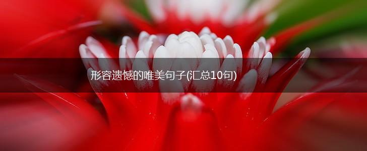 形容遗憾的唯美句子(汇总10句),第1张