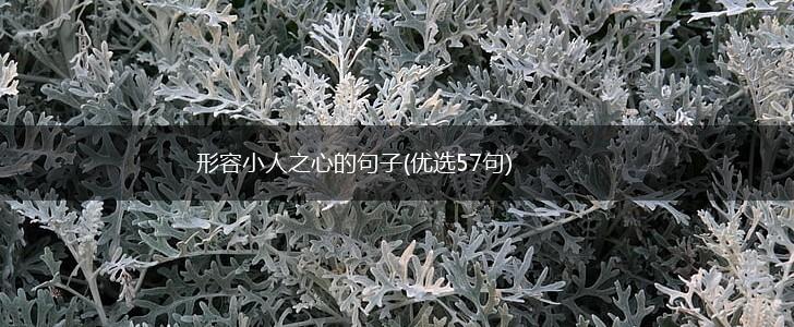 形容小人之心的句子(优选57句),第1张