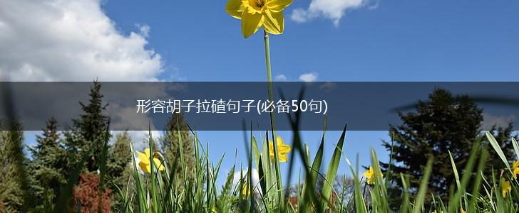 形容胡子拉碴句子(必备50句),第1张