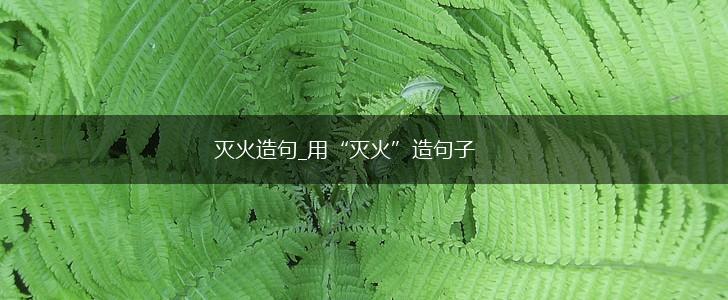 灭火造句_用“灭火”造句子,第1张 灭火造句_用“灭火”造句子,第1张