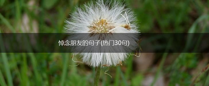 悼念朋友的句子(热门30句),第1张