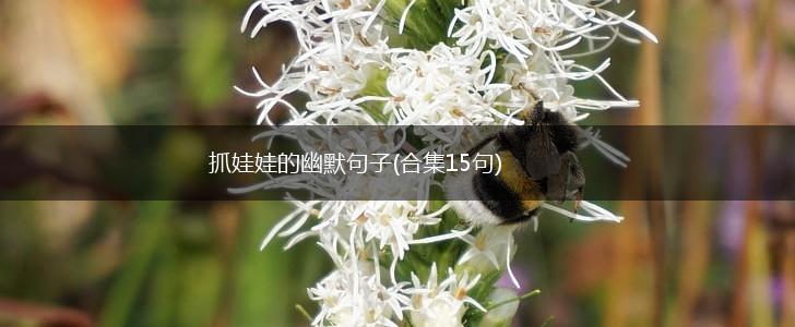 抓娃娃的幽默句子(合集15句),第1张