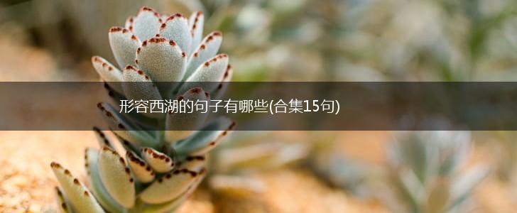 形容西湖的句子有哪些(合集15句),第1张