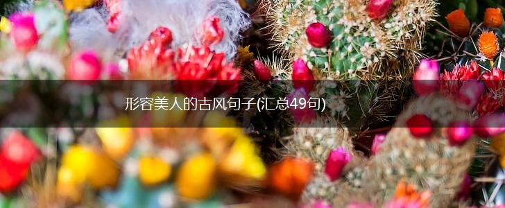 形容美人的古风句子(汇总49句),第1张