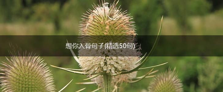 想你入骨句子(精选50句),第1张