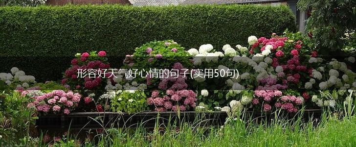 形容好天气好心情的句子(实用50句),第1张