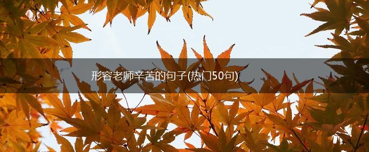 形容老师辛苦的句子(热门50句),第1张