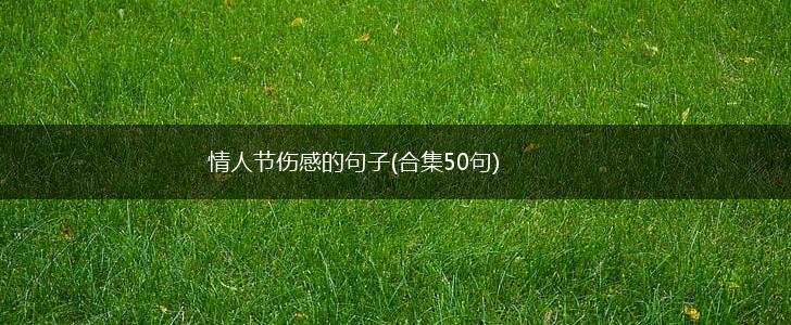 情人节伤感的句子(合集50句),第1张