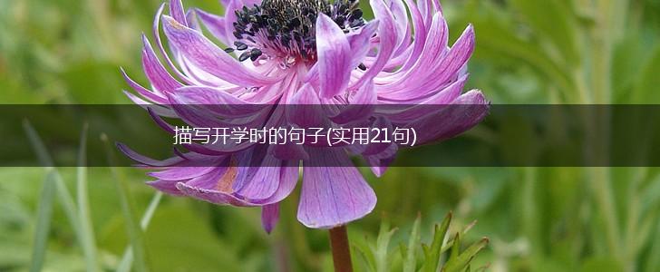 描写开学时的句子(实用21句),第1张