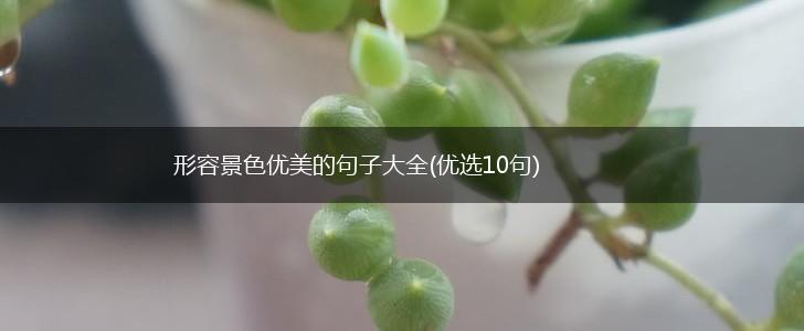 形容景色优美的句子大全(优选10句),第1张