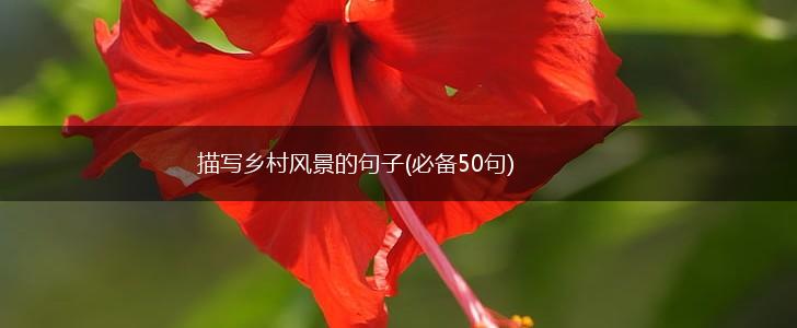 描写乡村风景的句子(必备50句),第1张