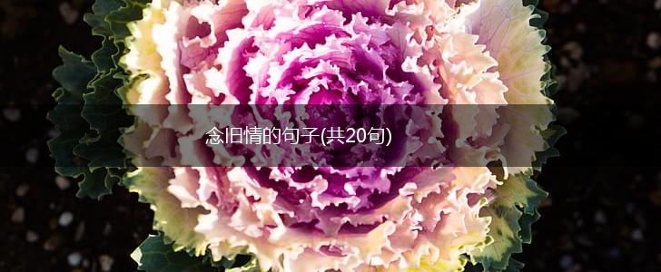 念旧情的句子(共20句),第1张