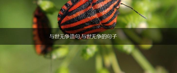 与世无争造句,与世无争的句子,第1张 与世无争造句,与世无争的句子,第1张