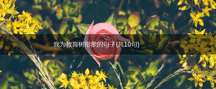 我为教育树形象的句子(共10句),第1张