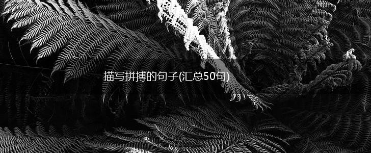 描写拼搏的句子(汇总50句),第1张