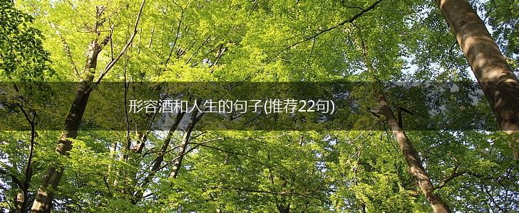形容酒和人生的句子(推荐22句),第1张