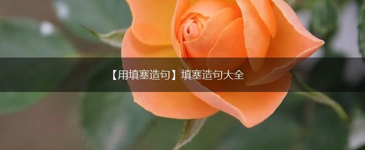 【用填塞造句】填塞造句大全,第1张 【用填塞造句】填塞造句大全,第1张