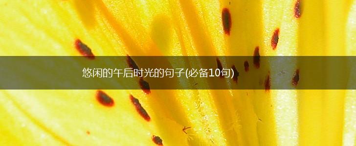 悠闲的午后时光的句子(必备10句),第1张