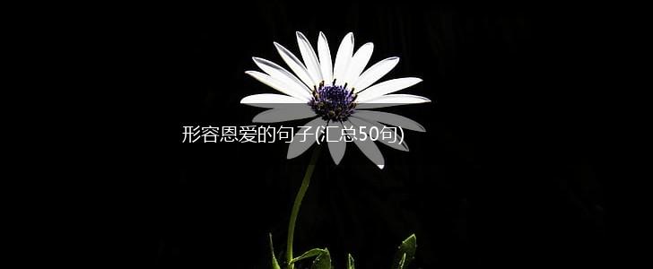形容恩爱的句子(汇总50句),第1张