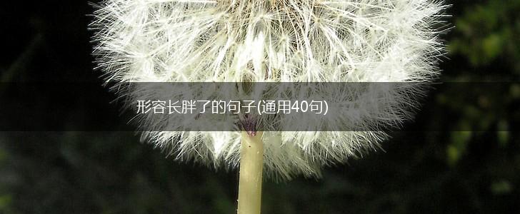 形容长胖了的句子(通用40句),第1张