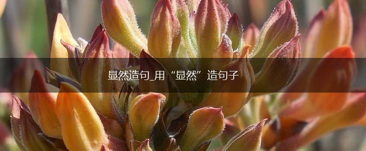 显然造句_用“显然”造句子,第1张 显然造句_用“显然”造句子,第1张