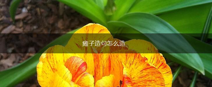 瘫子造句怎么造,第1张 瘫子造句怎么造,第1张