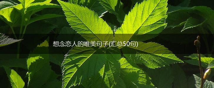 想念恋人的唯美句子(汇总50句),第1张
