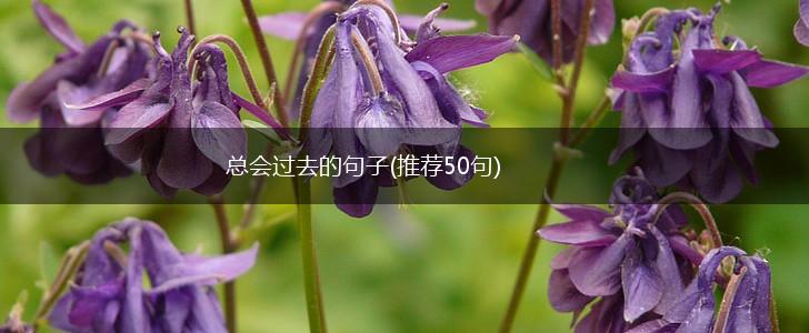 总会过去的句子(推荐50句),第1张