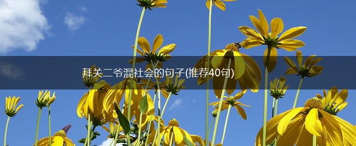 拜关二爷混社会的句子(推荐40句),第1张