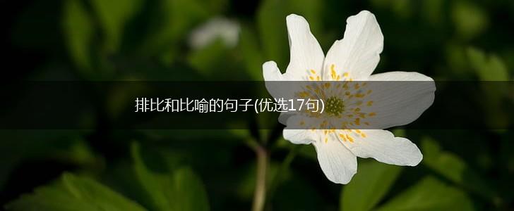 排比和比喻的句子(优选17句),第1张