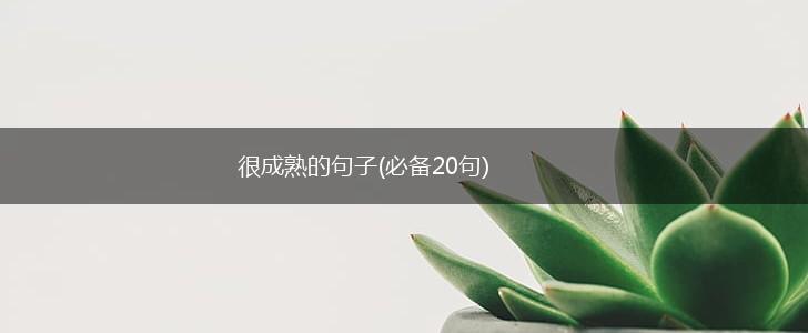 很成熟的句子(必备20句),第1张