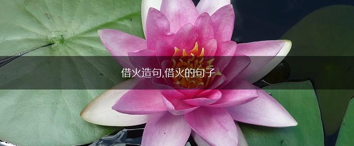 借火造句,借火的句子,第1张 借火造句,借火的句子,第1张