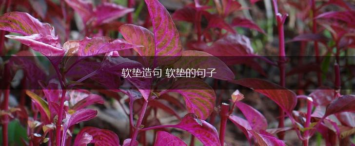 软垫造句 软垫的句子,第1张 软垫造句 软垫的句子,第1张