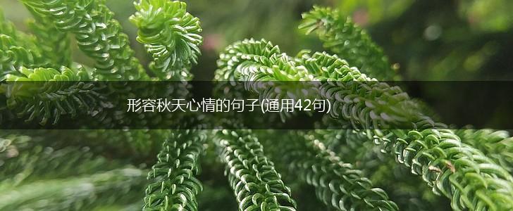 形容秋天心情的句子(通用42句),第1张