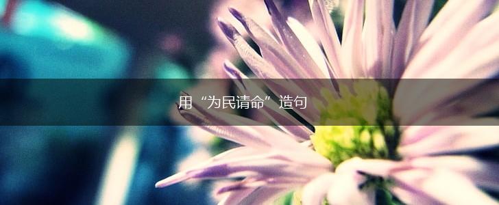 用“为民请命”造句,第1张