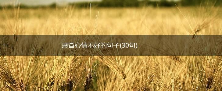 感冒心情不好的句子(30句),第1张